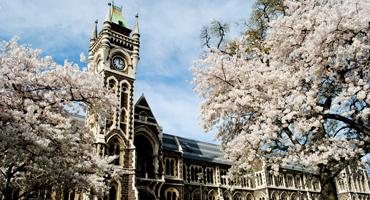 Study in New zealand